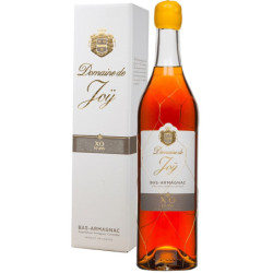 Domaine de Joy Bas Armagnac XO 10YO