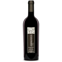 Tenuta Ulisse Amaranta Montepulciano d'Abruzzo