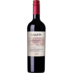 Garzon Estate Cabernet Franc/Tannat