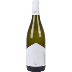 Turnau Seyval Blanc