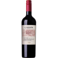 Garzon Estate Tannat/Merlot