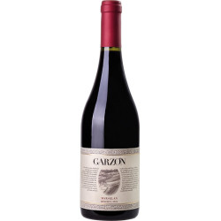 Garzon Reserve Marselan