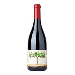 Recanati Reserve Syrah/Viognier 