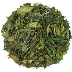 Pai Mu Tan 