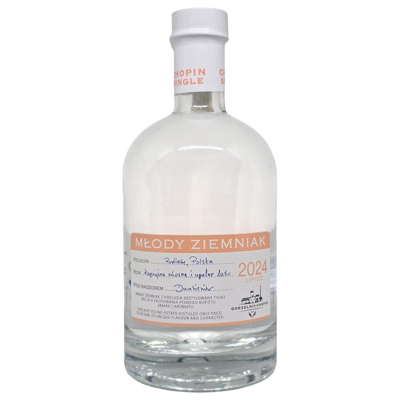 Młody Ziemniak 2024 Młody Ziemniak 2024